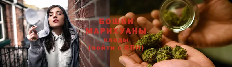 купить закладку  Лесозаводск  Бошки марихуана Bruce Banner 